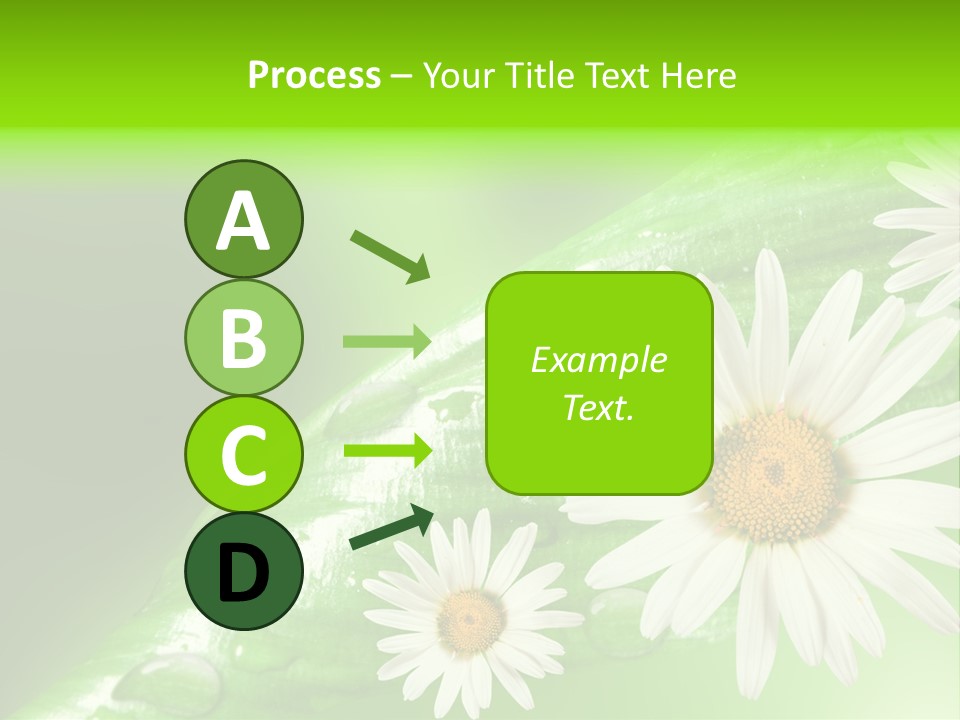 Frame Green Wet PowerPoint Template