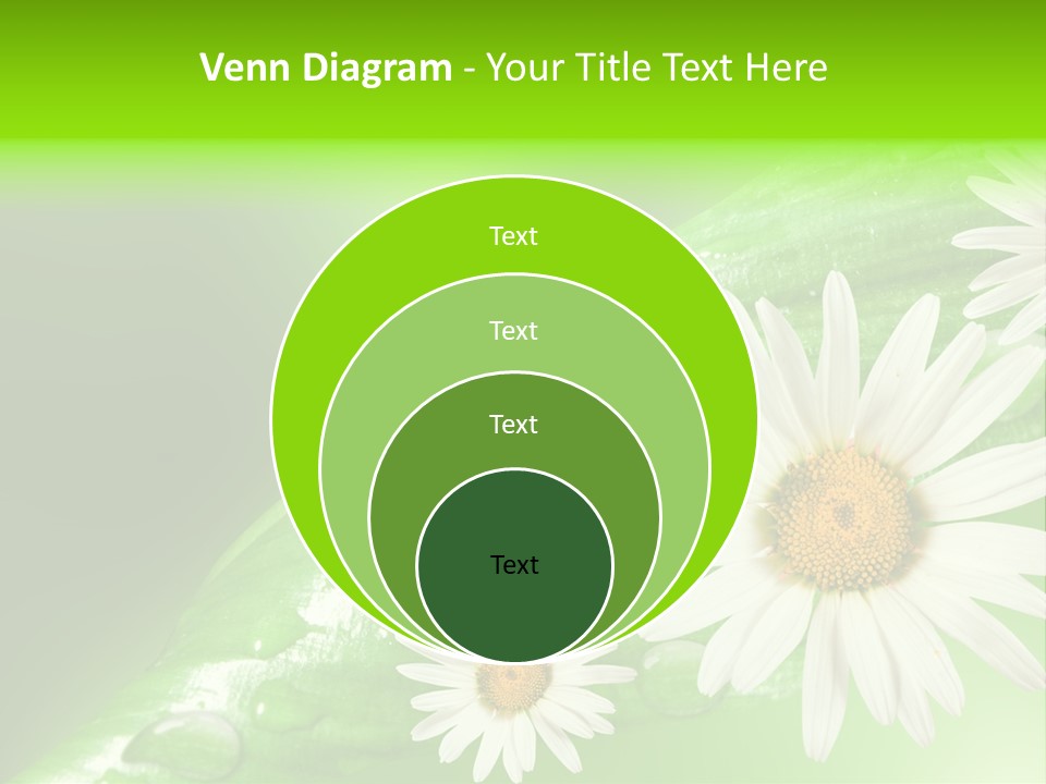 Frame Green Wet PowerPoint Template