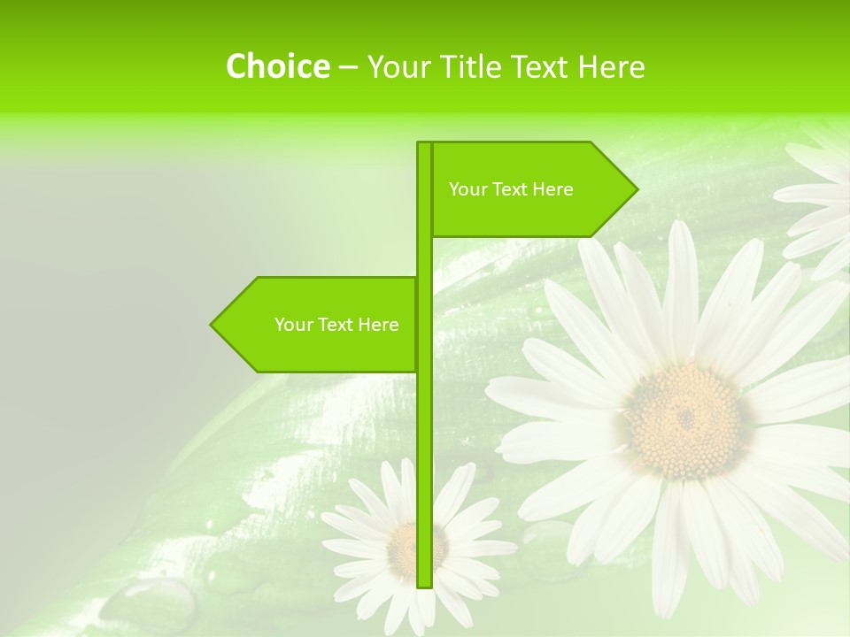 Frame Green Wet PowerPoint Template