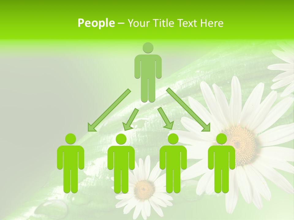 Frame Green Wet PowerPoint Template