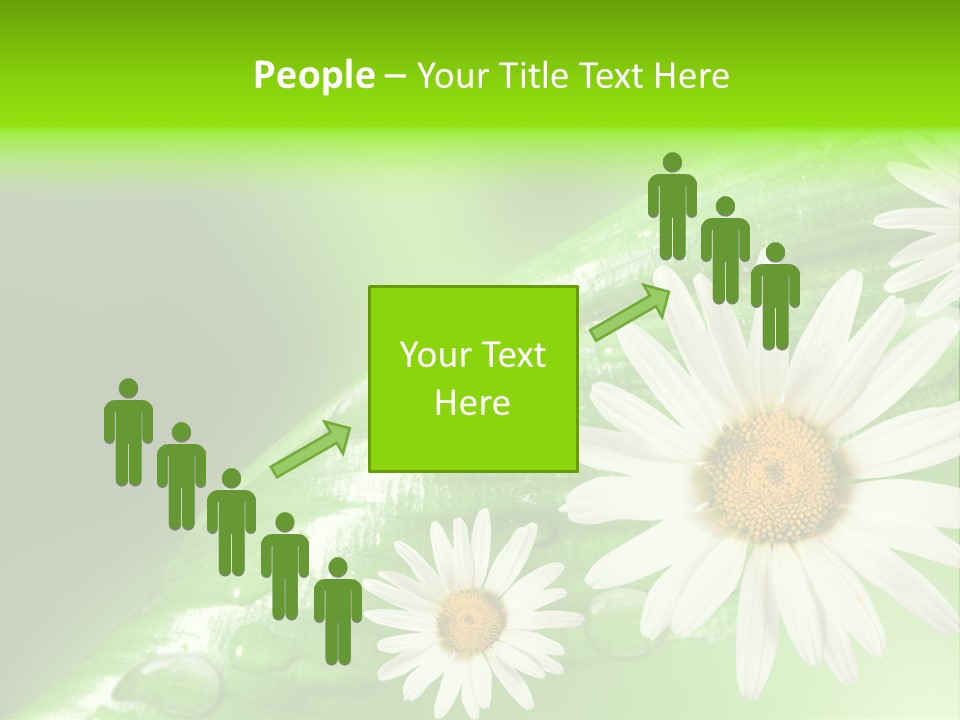 Frame Green Wet PowerPoint Template