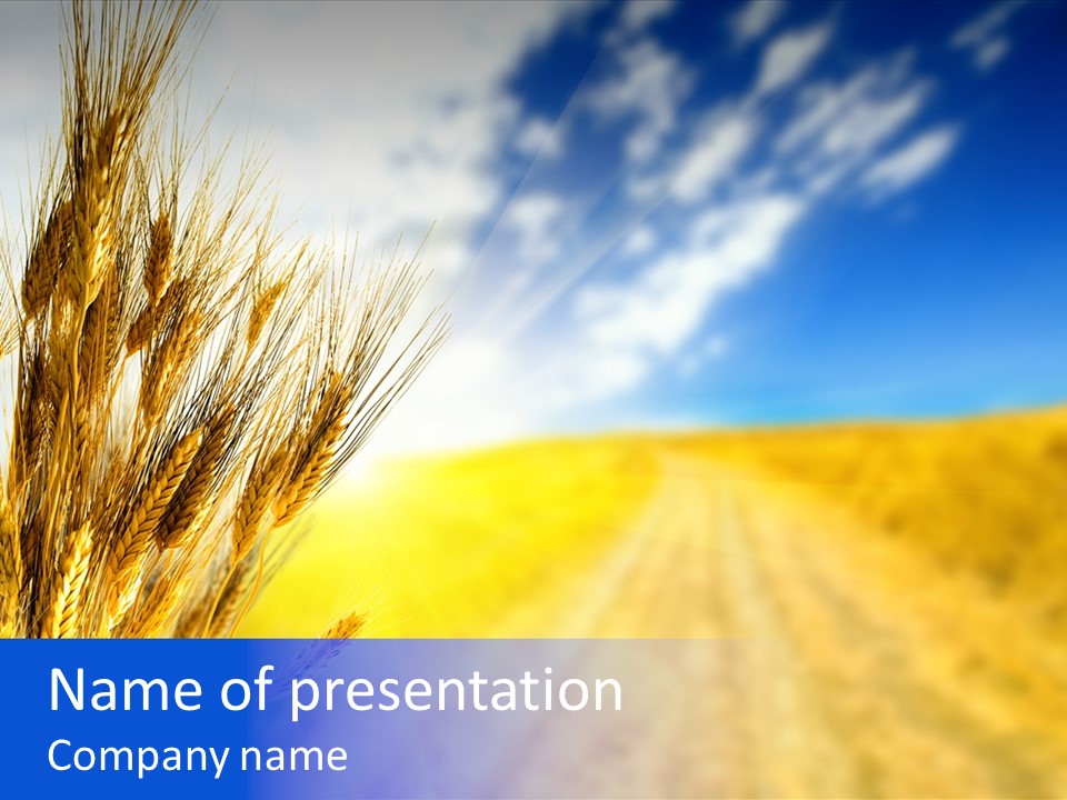 Grain Cultivate Bright PowerPoint Template