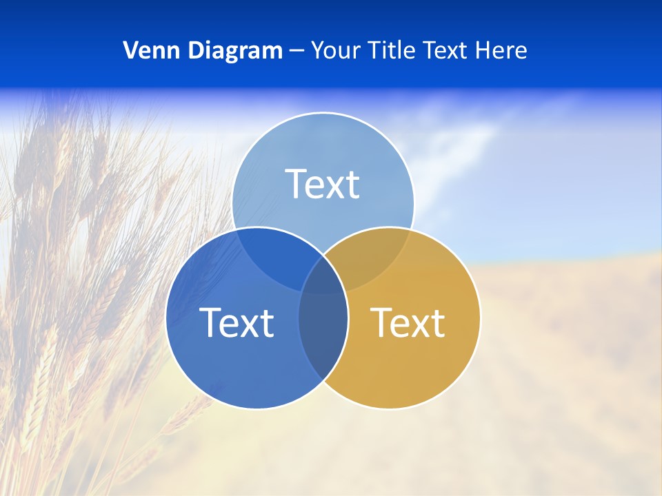 Grain Cultivate Bright PowerPoint Template