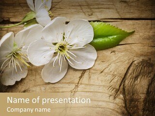 Close Soft Element PowerPoint Template