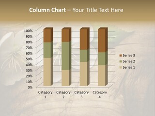 Close Soft Element PowerPoint Template