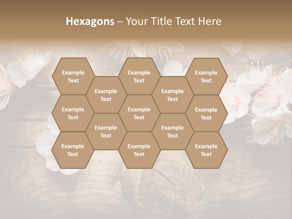 Soft Beautiful Nature PowerPoint Template