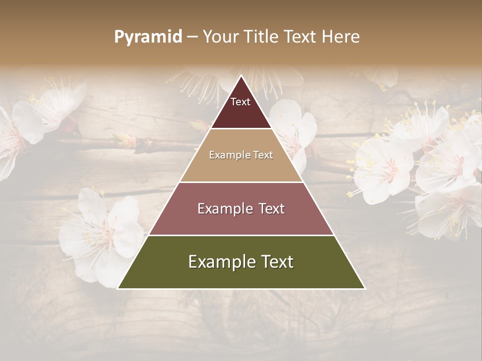 Soft Beautiful Nature PowerPoint Template