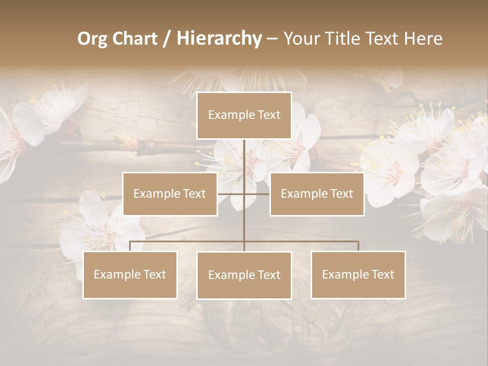 Soft Beautiful Nature PowerPoint Template