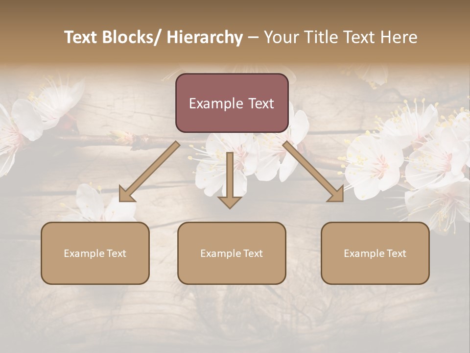 Soft Beautiful Nature PowerPoint Template