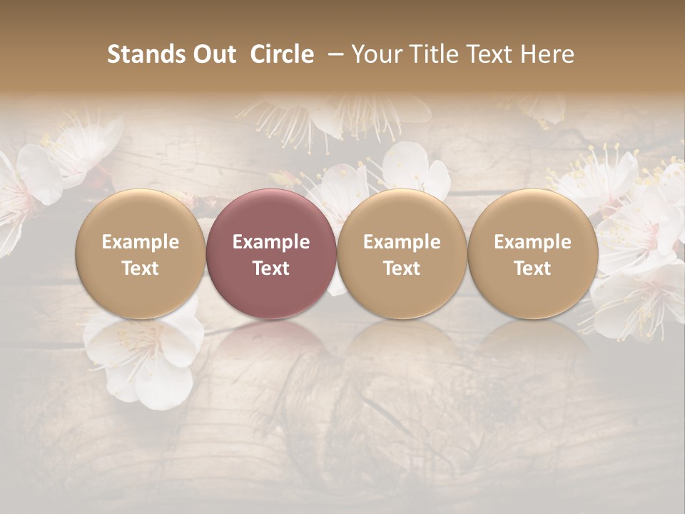 Soft Beautiful Nature PowerPoint Template