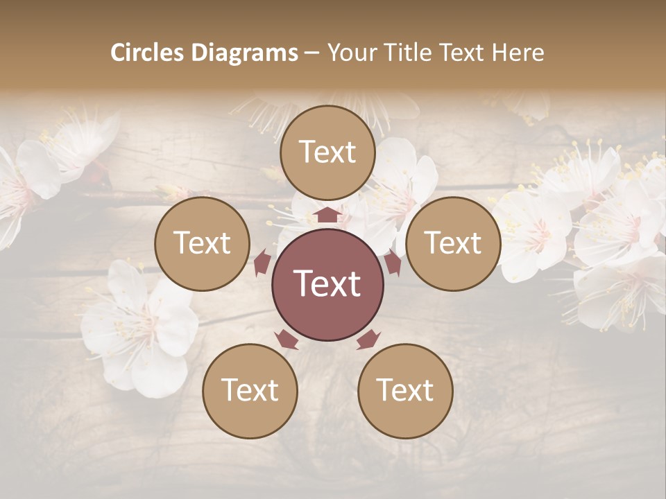 Soft Beautiful Nature PowerPoint Template