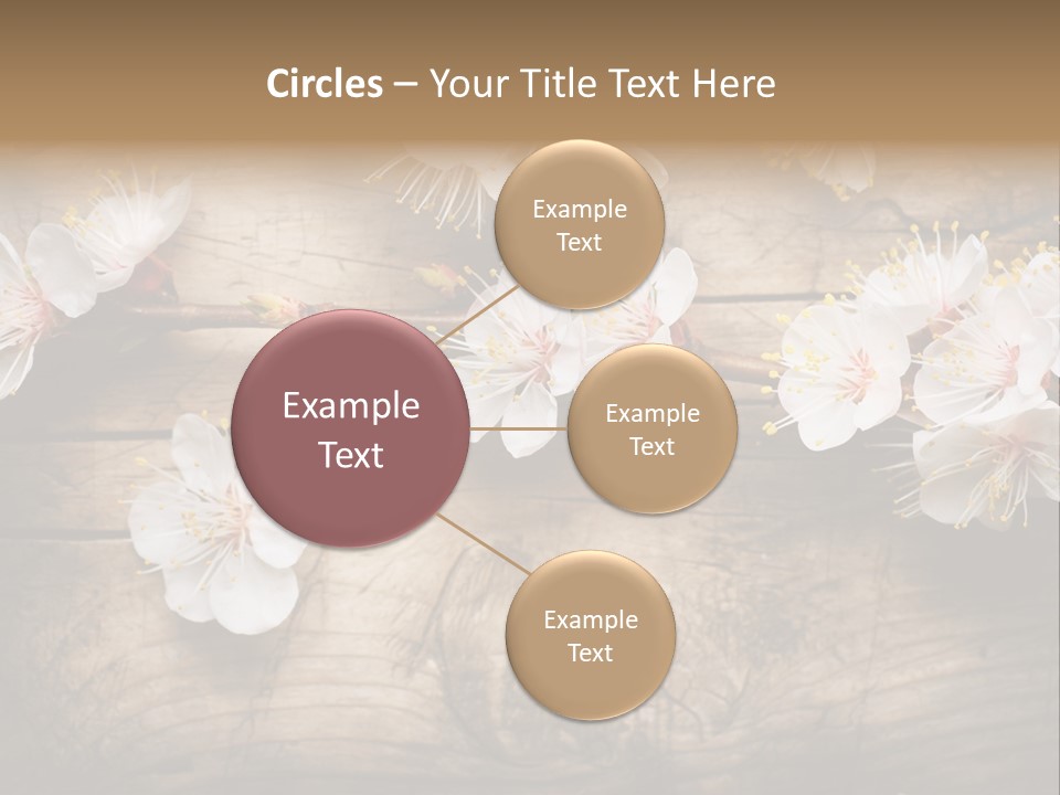 Soft Beautiful Nature PowerPoint Template