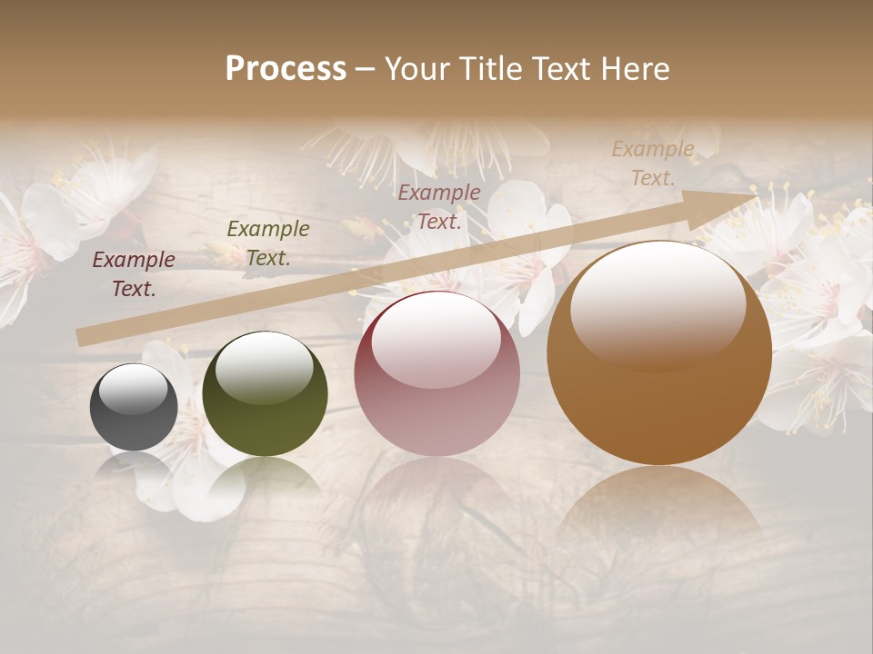 Soft Beautiful Nature PowerPoint Template