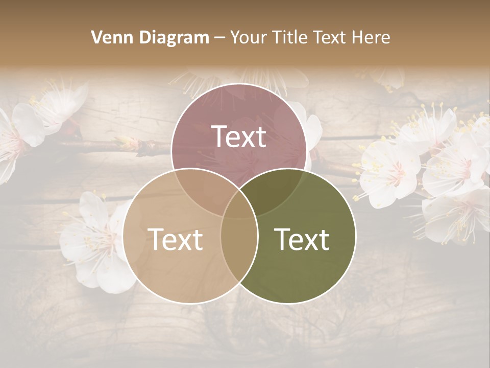 Soft Beautiful Nature PowerPoint Template