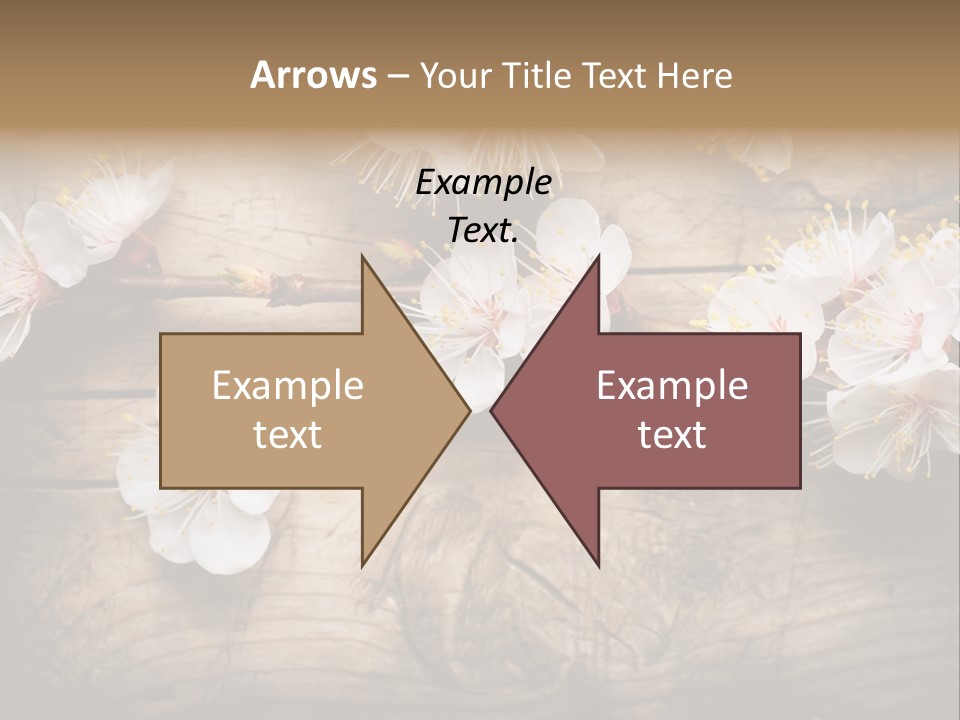 Soft Beautiful Nature PowerPoint Template