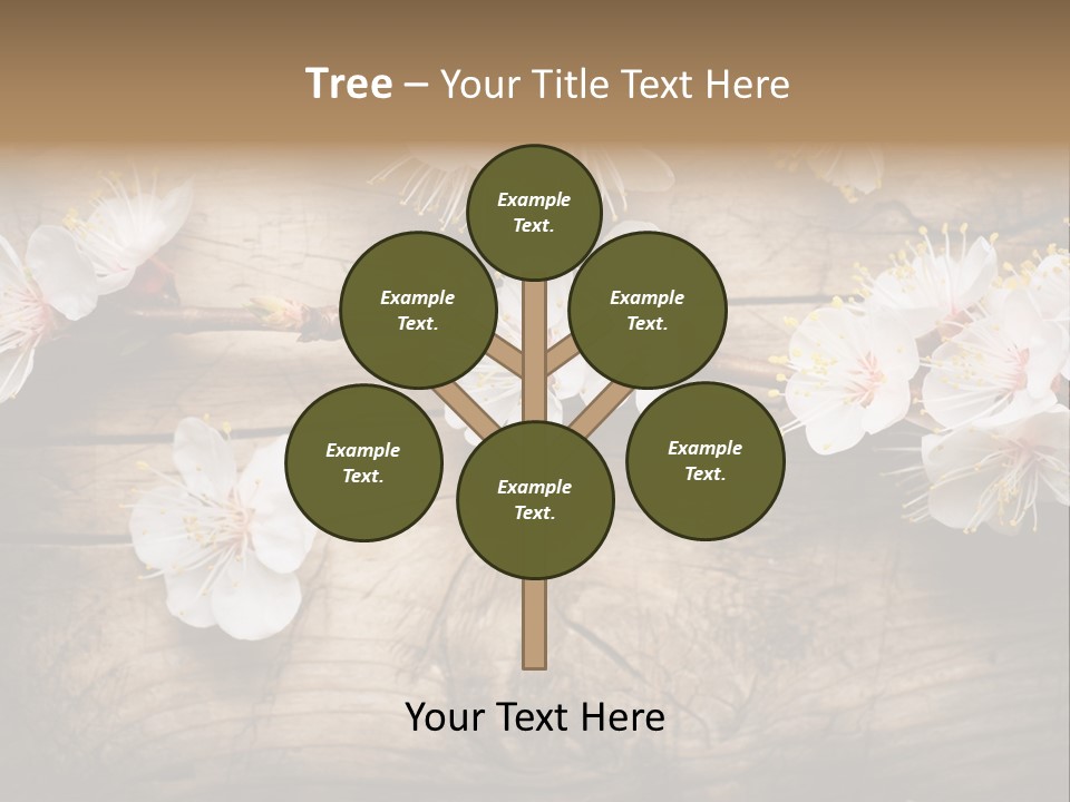 Soft Beautiful Nature PowerPoint Template