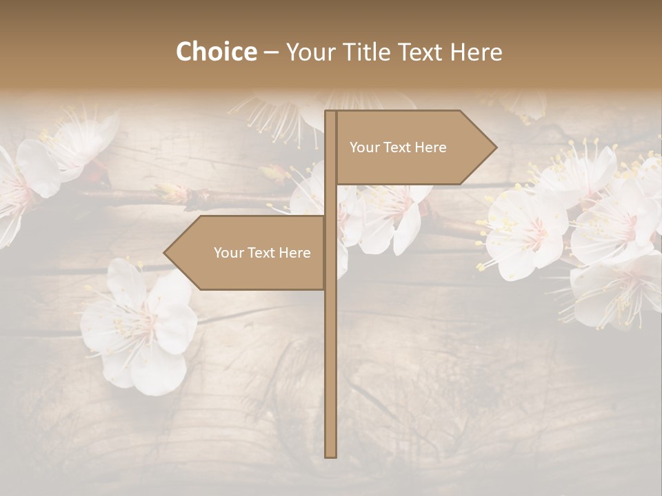 Soft Beautiful Nature PowerPoint Template