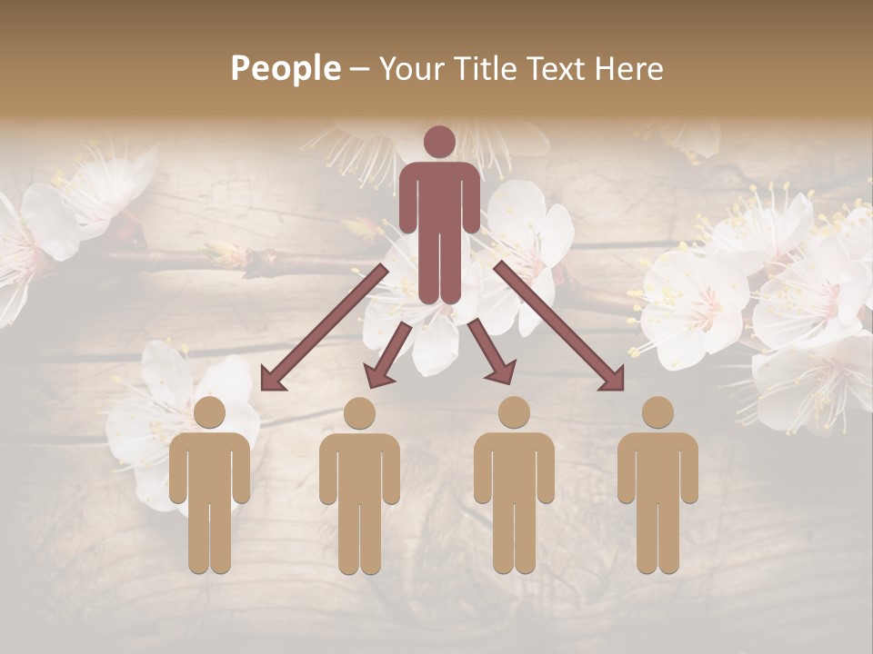 Soft Beautiful Nature PowerPoint Template