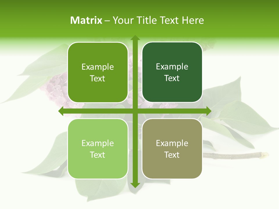 Apparecchio Trasporti Societ PowerPoint Template