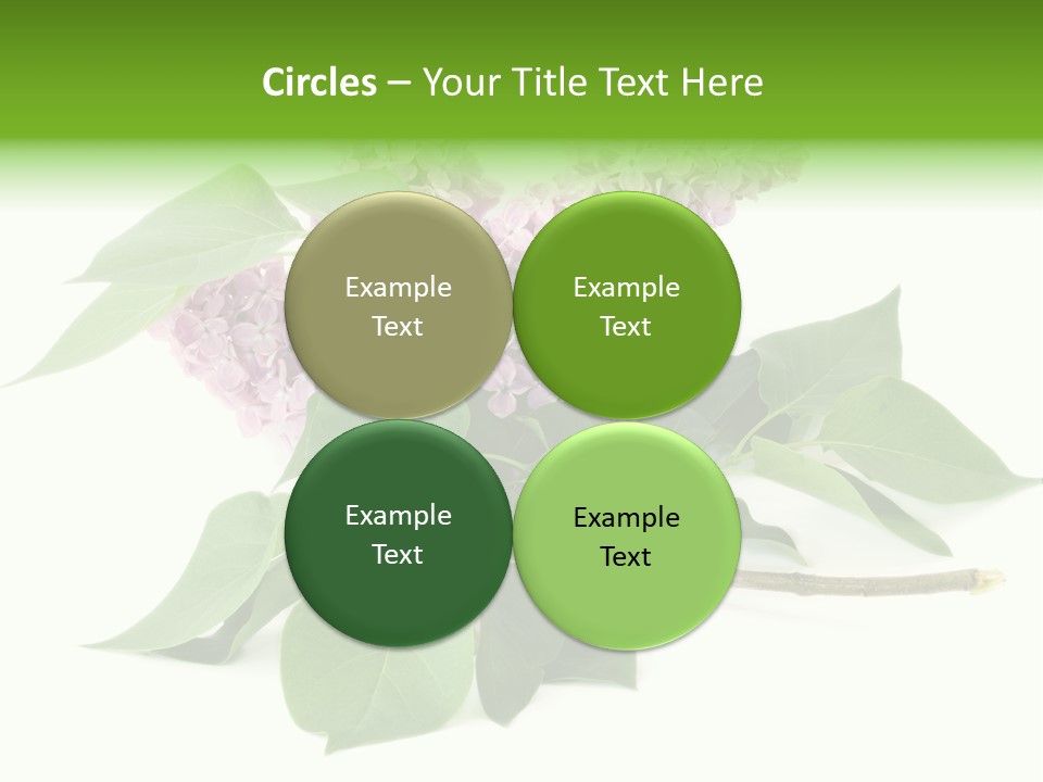 Apparecchio Trasporti Societ PowerPoint Template