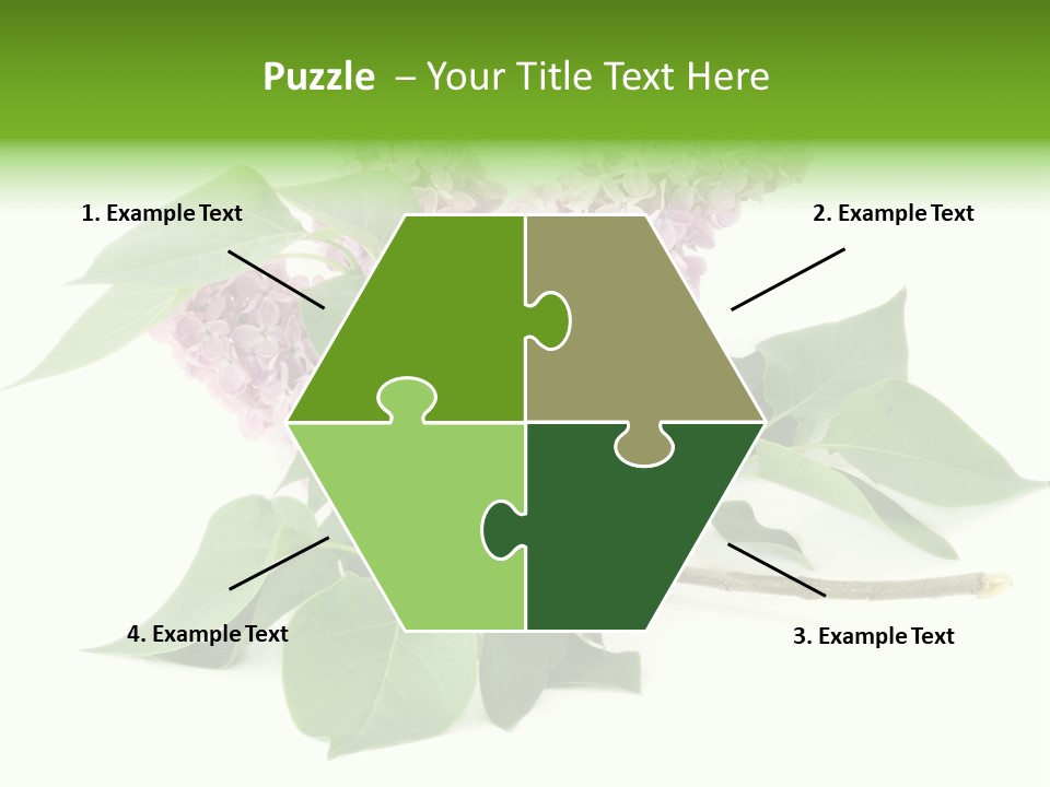 Apparecchio Trasporti Societ PowerPoint Template