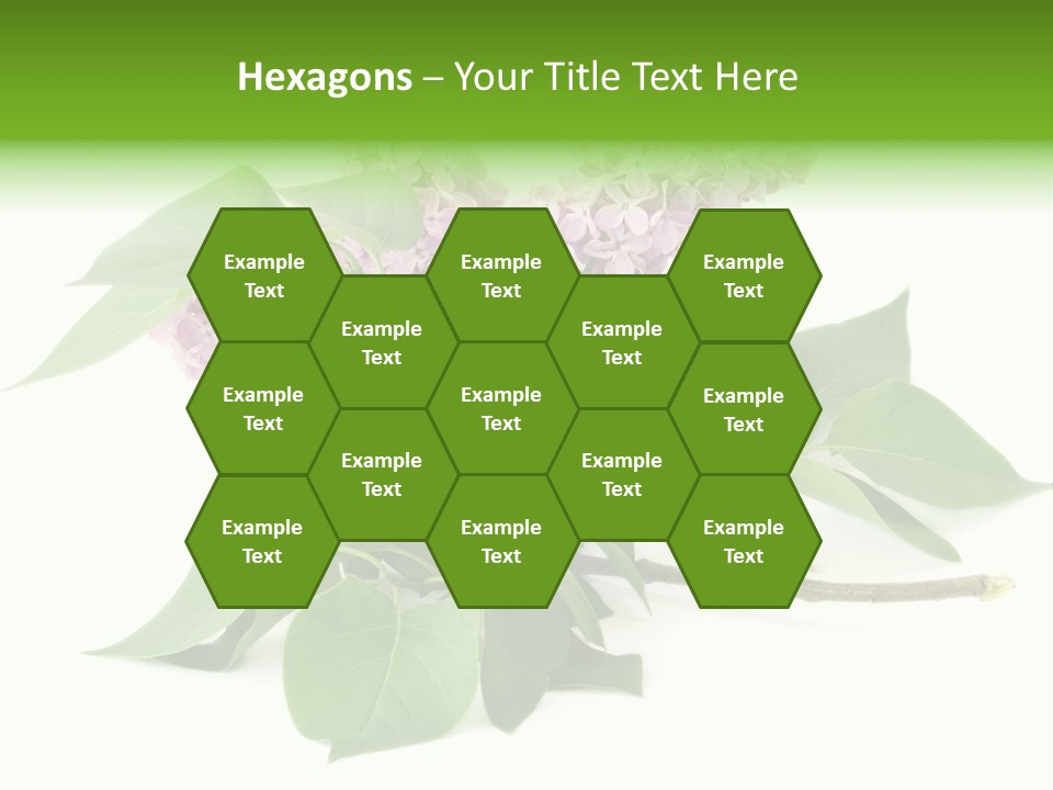 Apparecchio Trasporti Societ PowerPoint Template