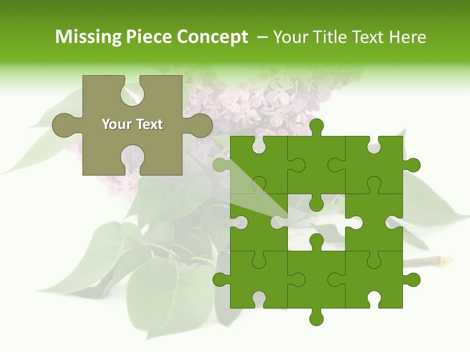 Apparecchio Trasporti Societ PowerPoint Template