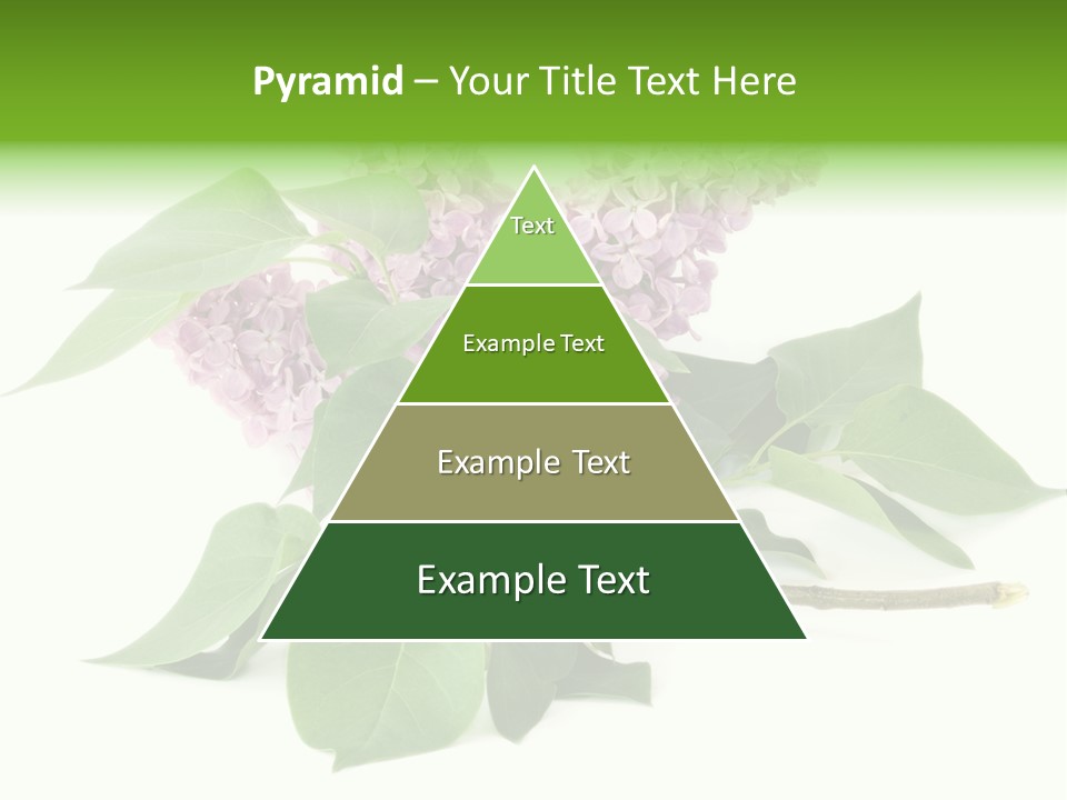 Apparecchio Trasporti Societ PowerPoint Template