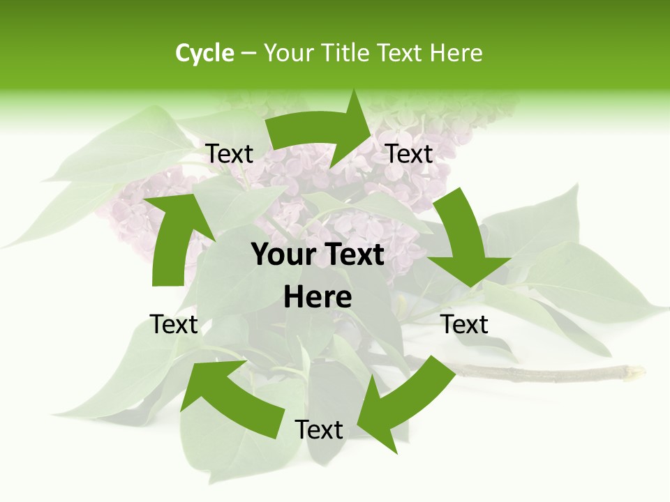 Apparecchio Trasporti Societ PowerPoint Template