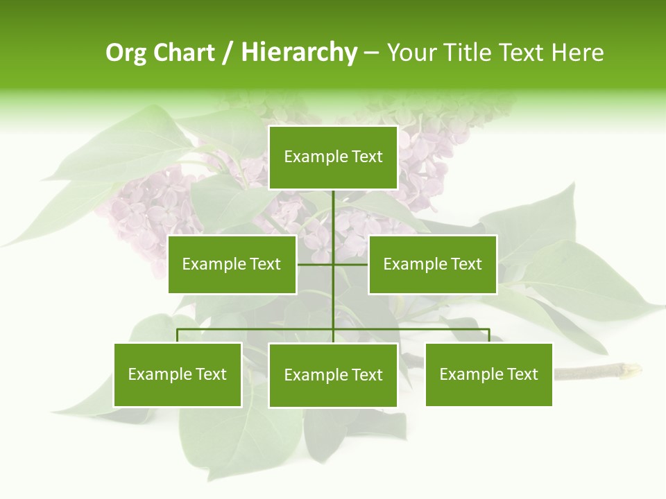 Apparecchio Trasporti Societ PowerPoint Template