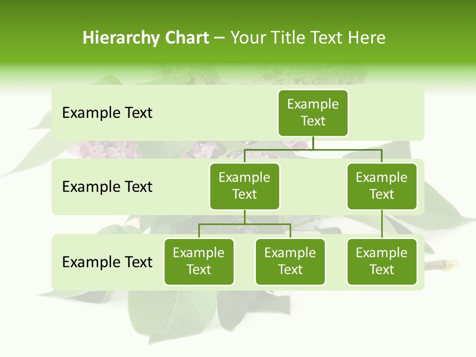 Apparecchio Trasporti Societ PowerPoint Template