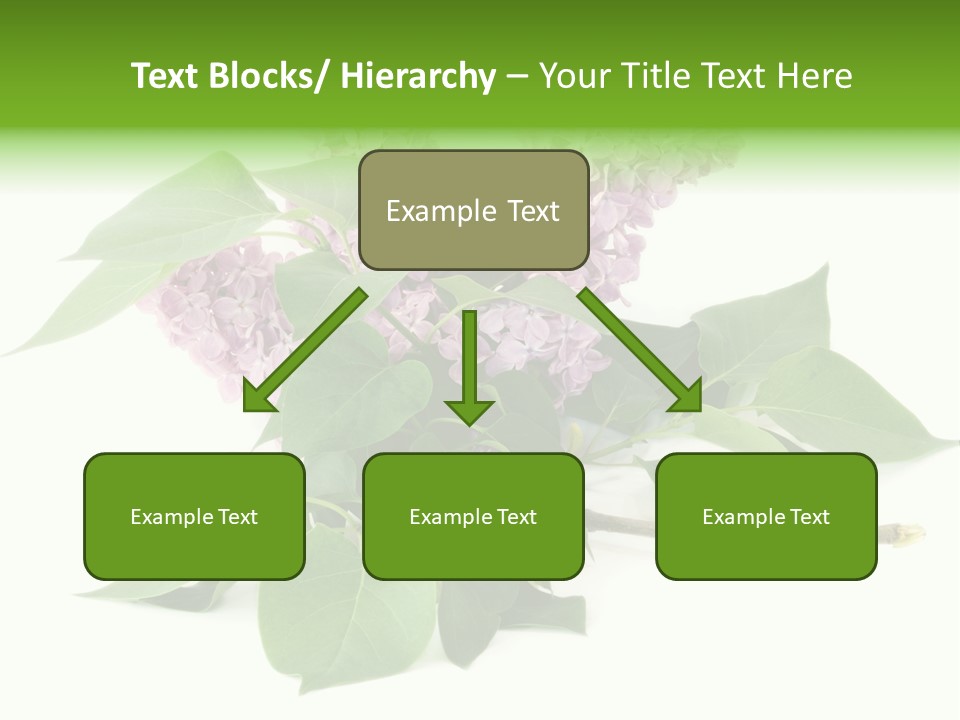 Apparecchio Trasporti Societ PowerPoint Template