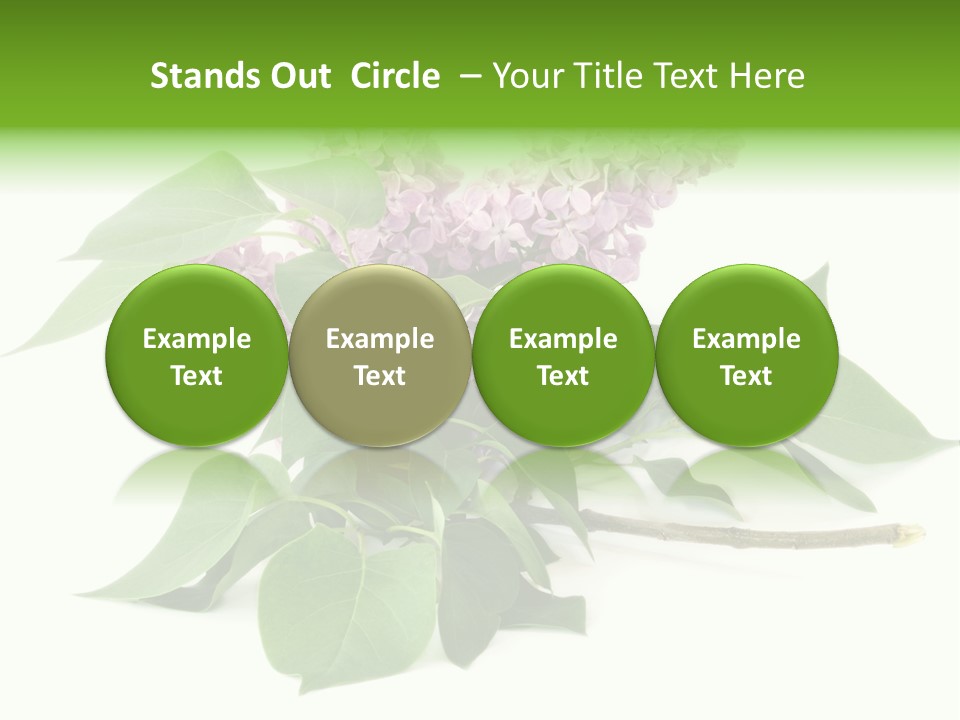 Apparecchio Trasporti Societ PowerPoint Template