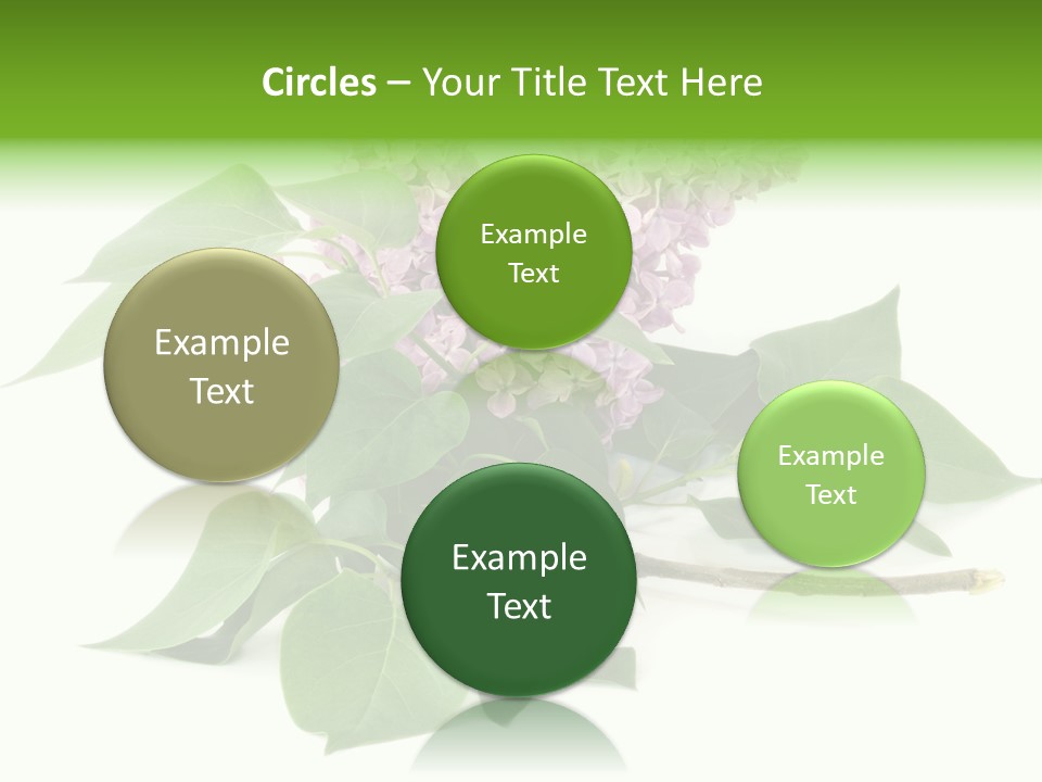 Apparecchio Trasporti Societ PowerPoint Template