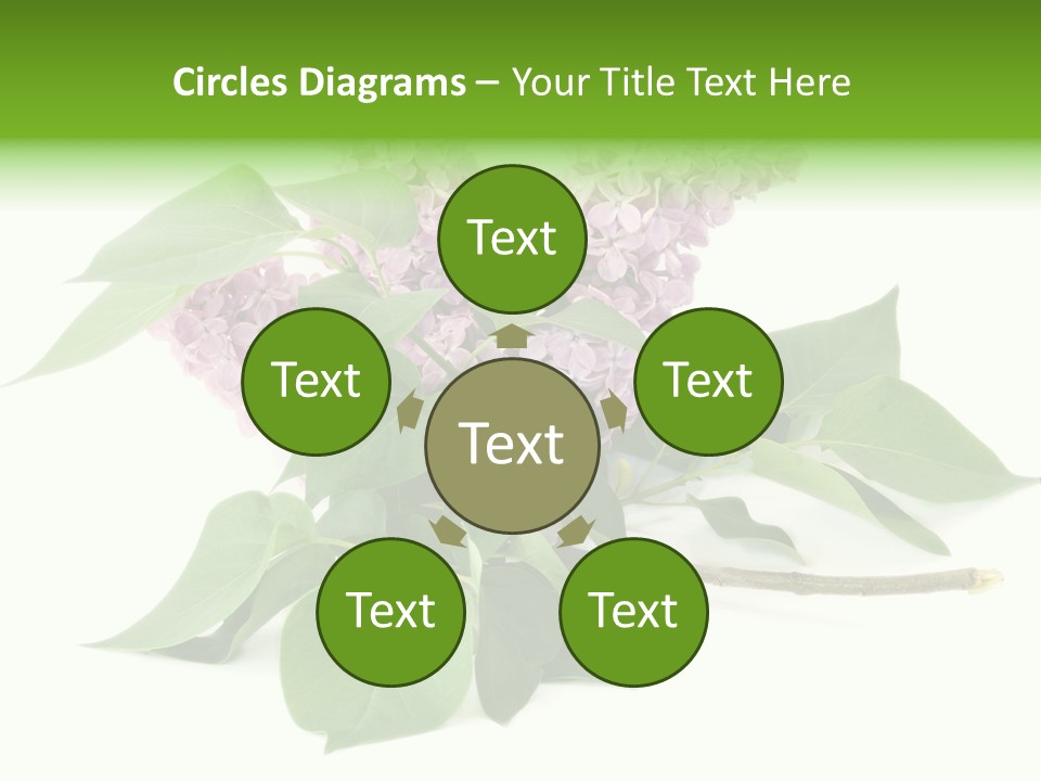 Apparecchio Trasporti Societ PowerPoint Template