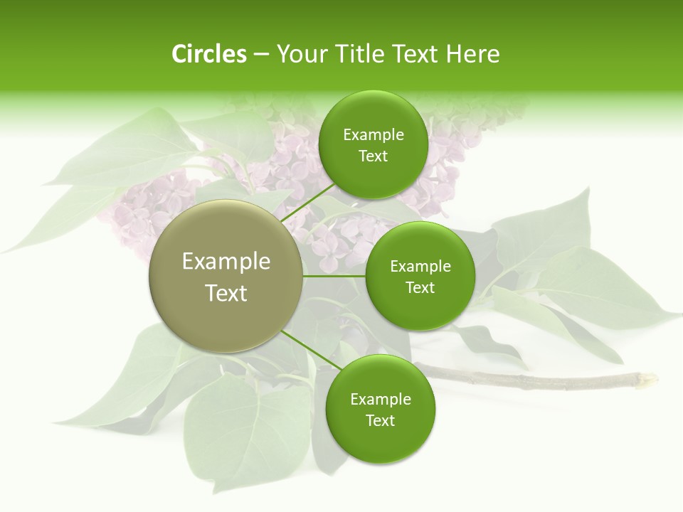 Apparecchio Trasporti Societ PowerPoint Template