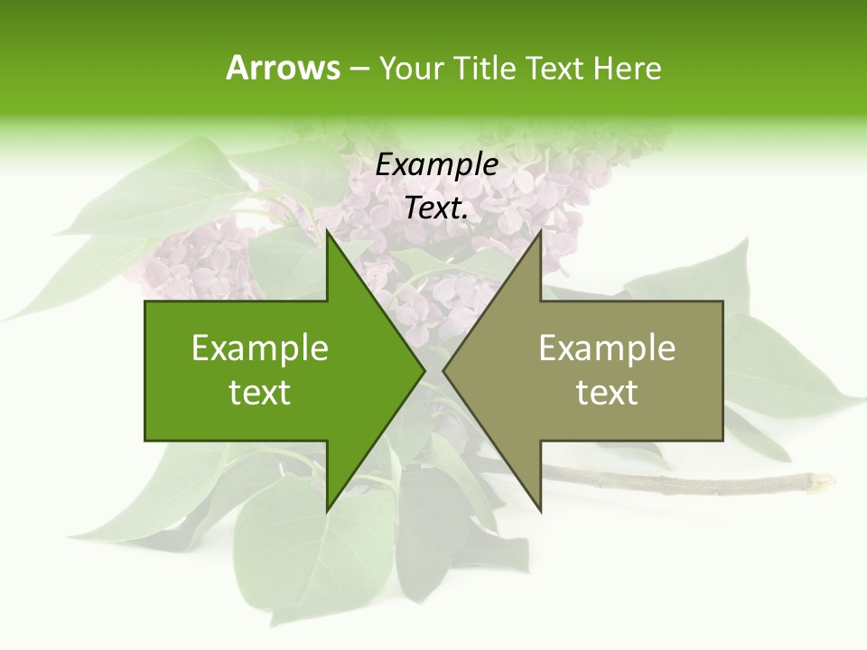 Apparecchio Trasporti Societ PowerPoint Template