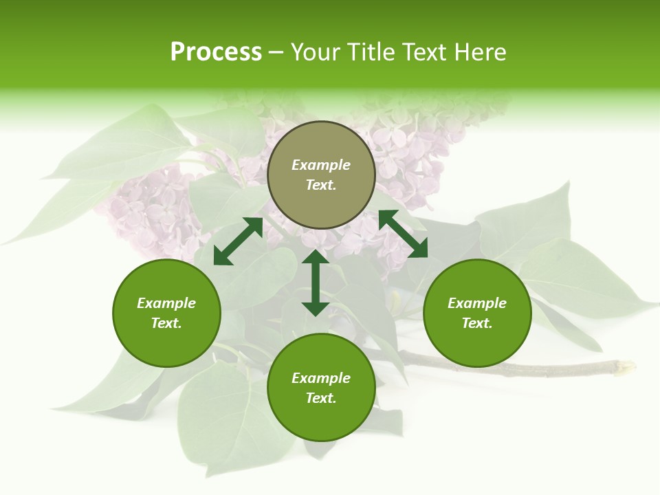 Apparecchio Trasporti Societ PowerPoint Template