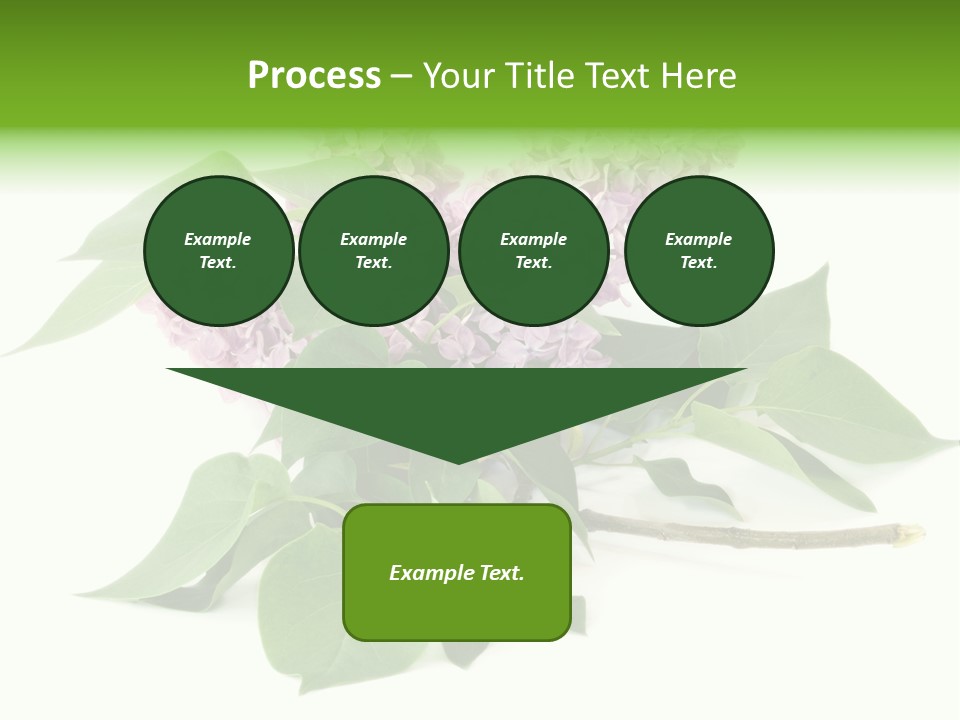 Apparecchio Trasporti Societ PowerPoint Template