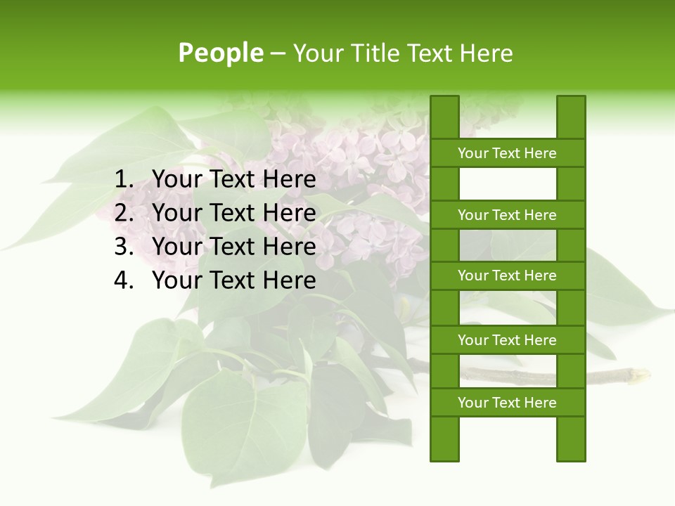 Apparecchio Trasporti Societ PowerPoint Template