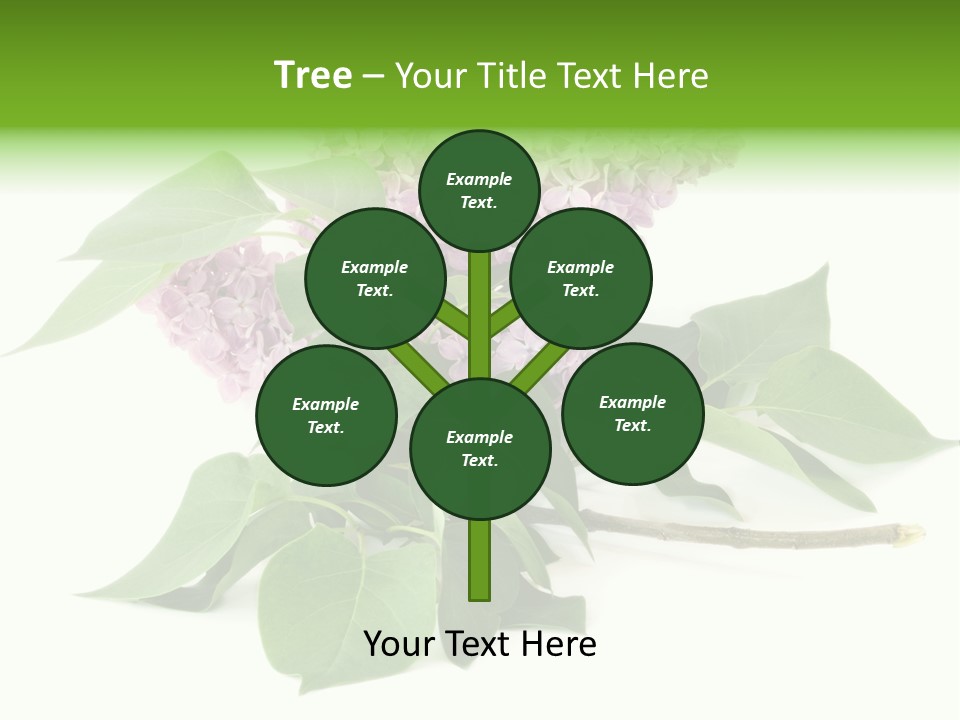 Apparecchio Trasporti Societ PowerPoint Template