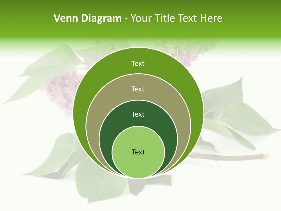 Apparecchio Trasporti Societ PowerPoint Template