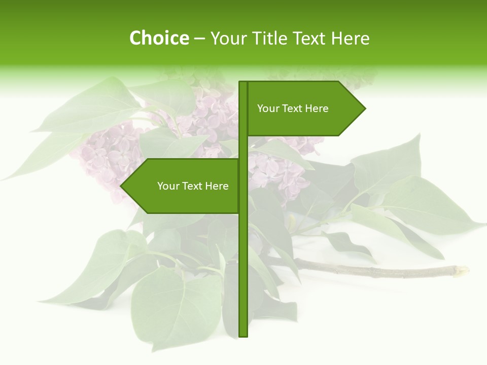 Apparecchio Trasporti Societ PowerPoint Template