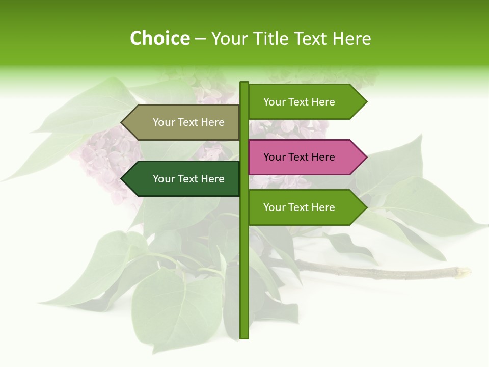 Apparecchio Trasporti Societ PowerPoint Template