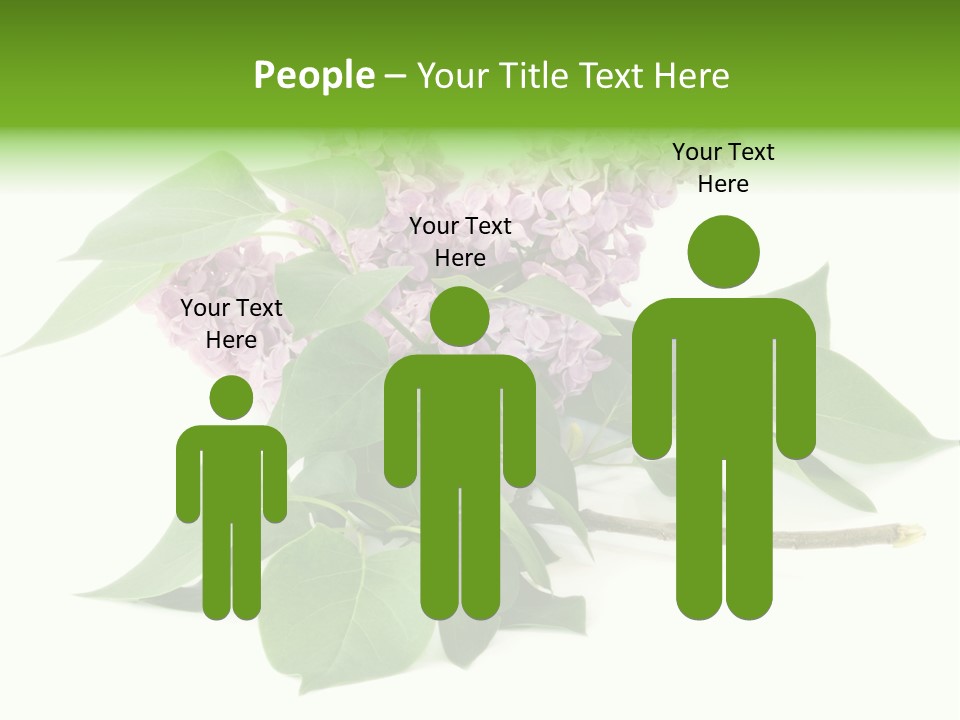 Apparecchio Trasporti Societ PowerPoint Template