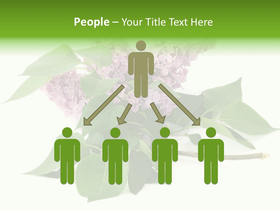 Apparecchio Trasporti Societ PowerPoint Template