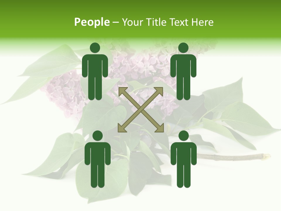 Apparecchio Trasporti Societ PowerPoint Template