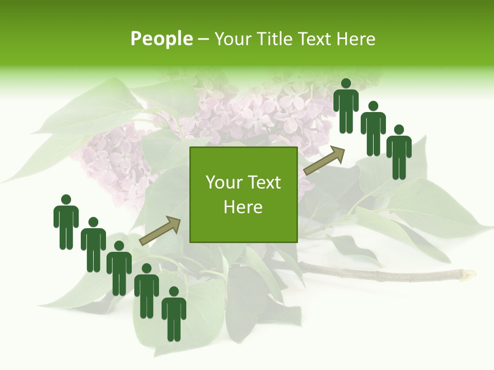 Apparecchio Trasporti Societ PowerPoint Template