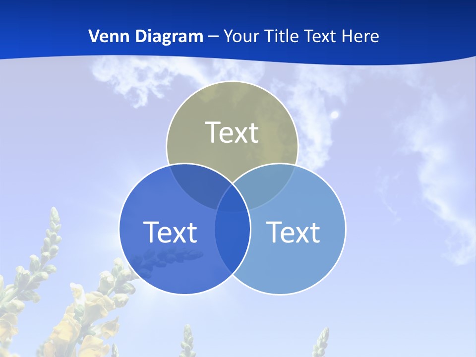 Naviglio Receive Consegna PowerPoint Template
