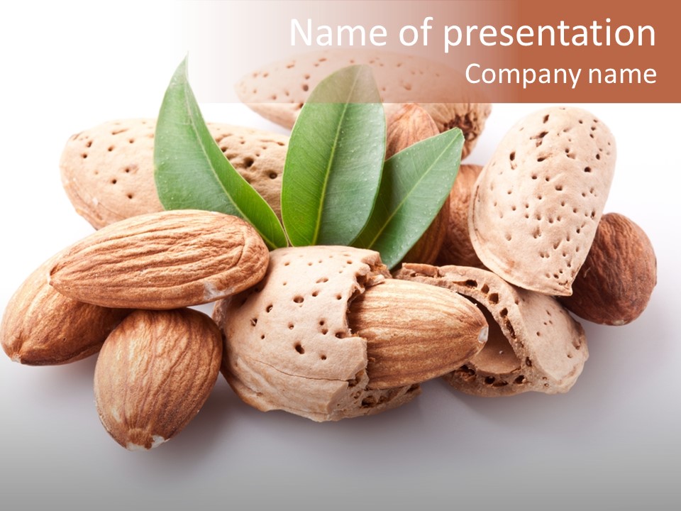 Isolated Plant Close Up PowerPoint Template